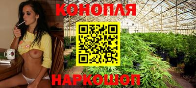 молекула духа Новокубанск