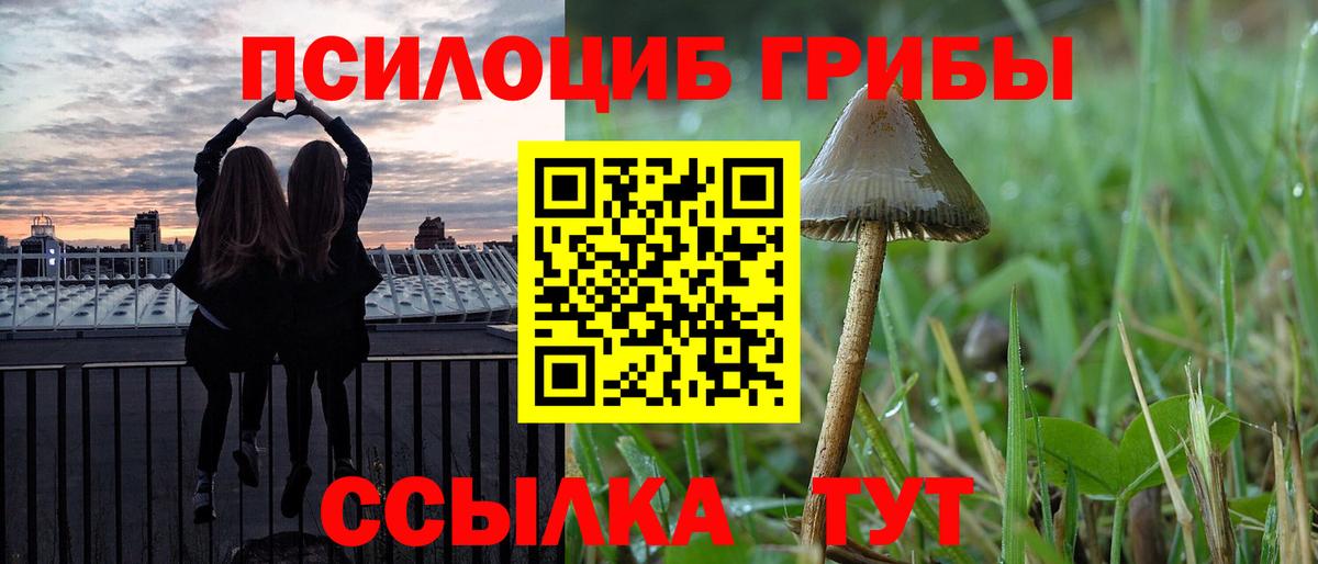 Псилоцибиновые грибы Psilocybine cubensis  Псилоцибиновые грибы мицелий  Вход с VPN  Тара 